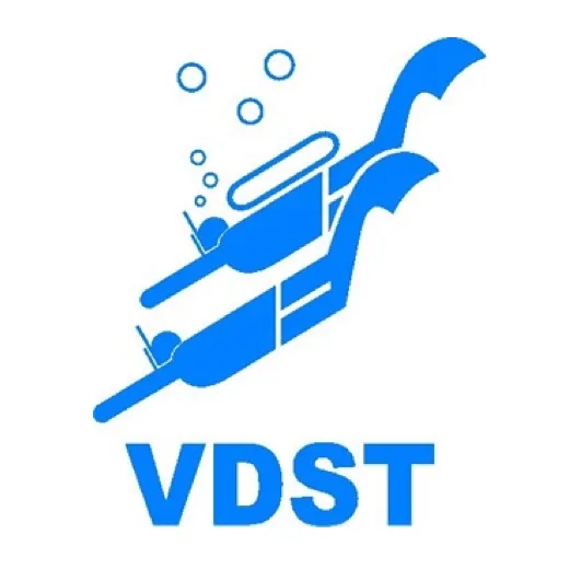 VDST